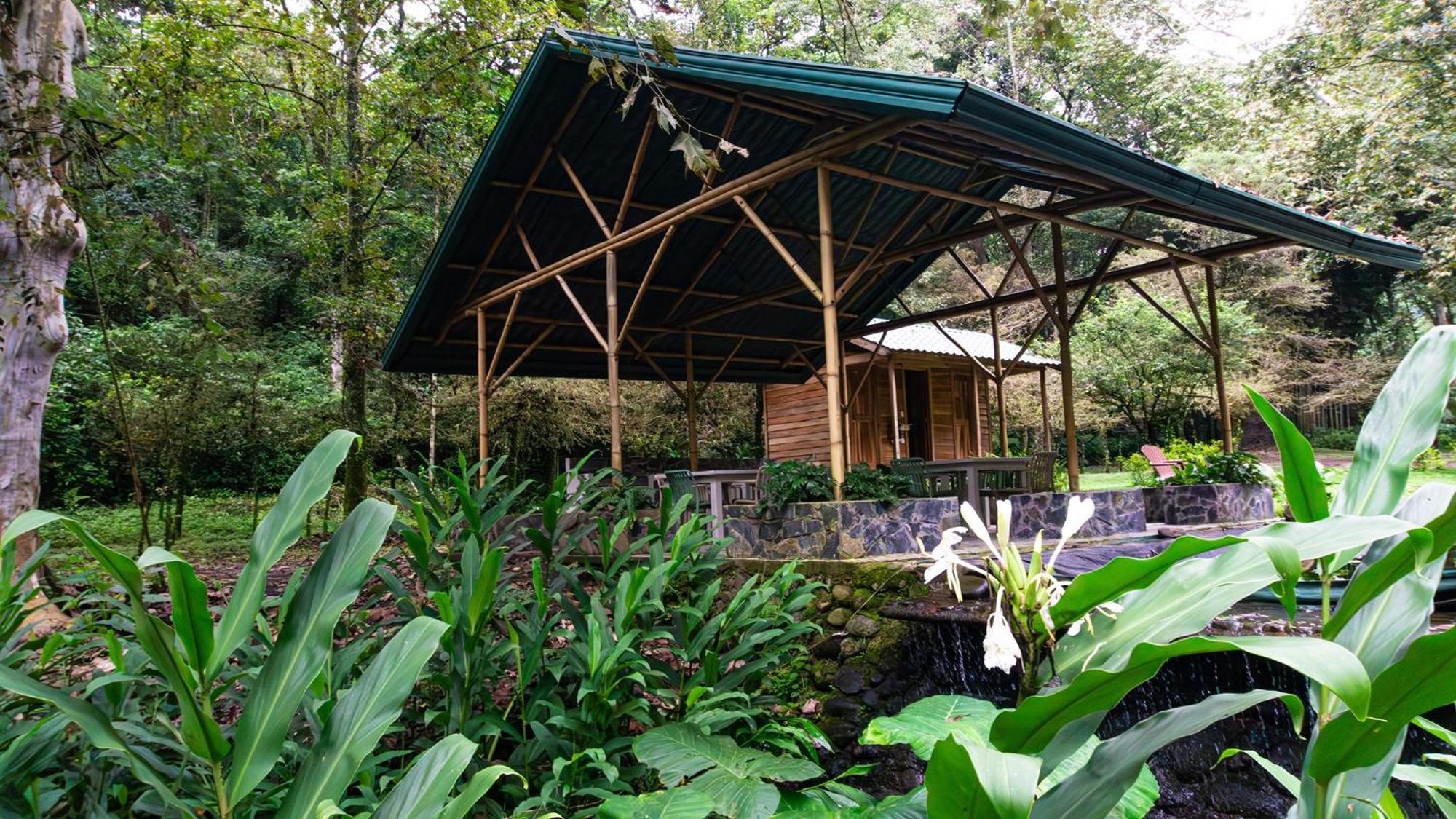Boscana Forest Resort & Residence Coscomatepec de Bravo Extérieur photo
